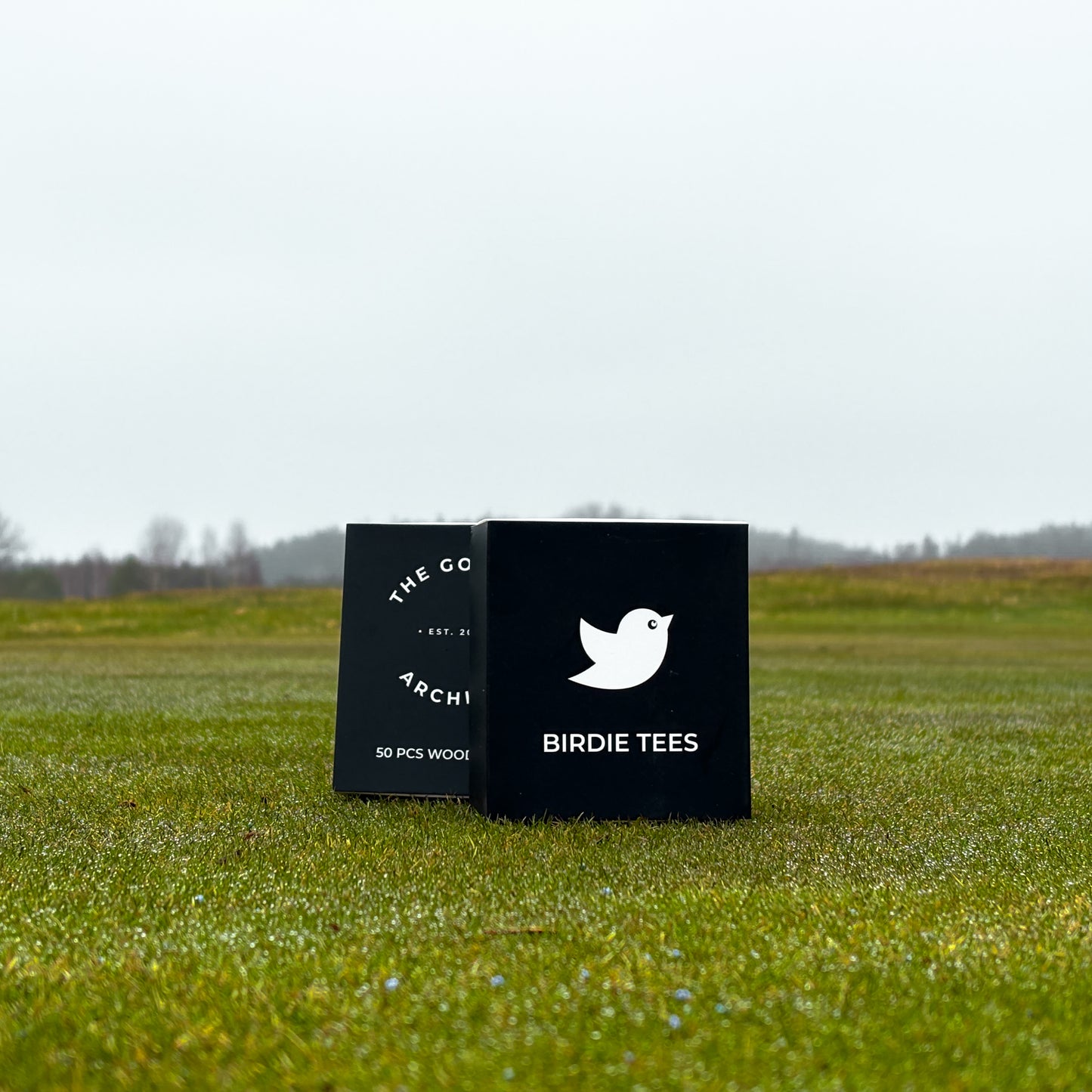 Tees – 50-pack